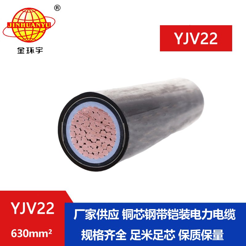 金環(huán)宇電線(xiàn)電纜 鎧裝電纜 YJV22-630平方 深圳yjv2