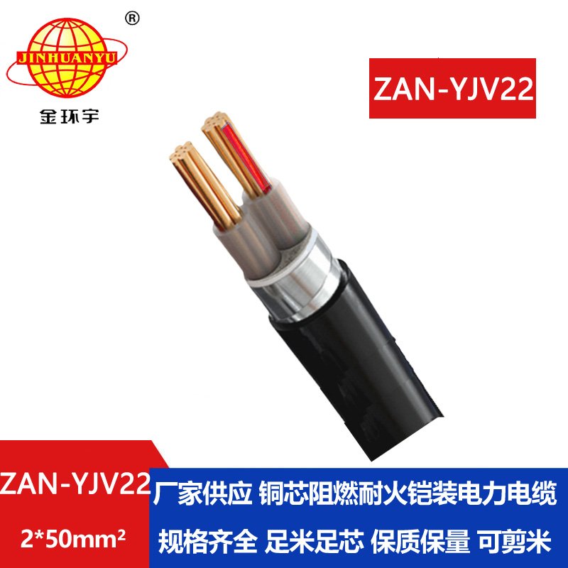 金環(huán)宇電線(xiàn)電纜 深圳yjv22鎧裝電纜ZAN-YJV22-2x50銅芯