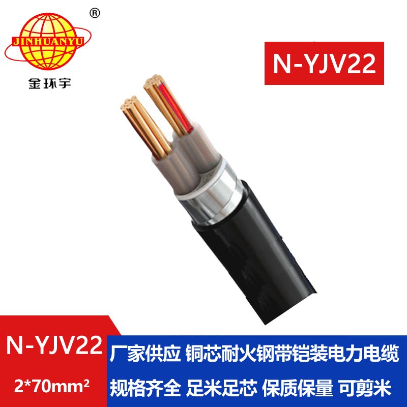 金環(huán)宇電線電纜 N-YJV22-2X70平方 耐火yjv22電纜 二芯